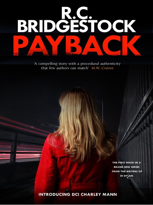 Cover image for Payback